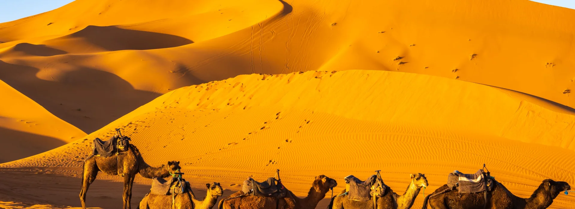 Oman Magic Dunes and Coastline